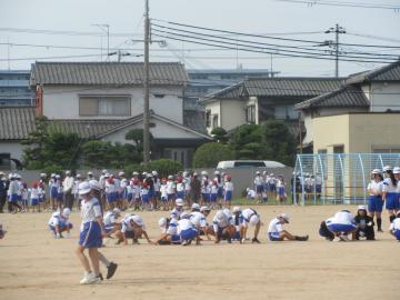 運動場で草むしりをしている様子